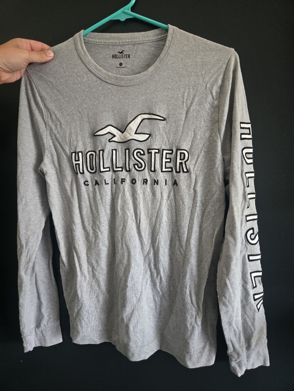 Hollister Mens Long Sleeve XS